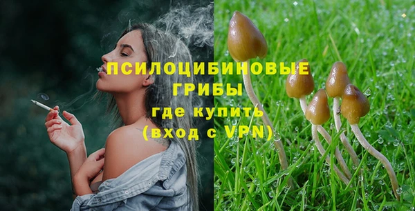 spice Заволжск