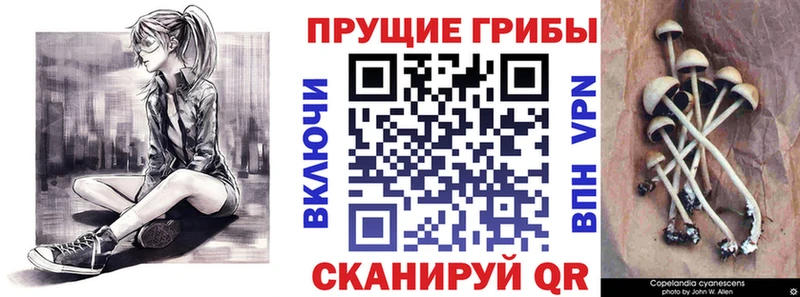 Галлюциногенные грибы мицелий  Купить  Жигулёвск 