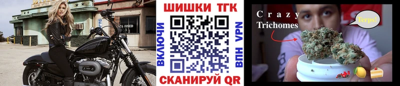 Купить  Жигулёвск  Каннабис семена 